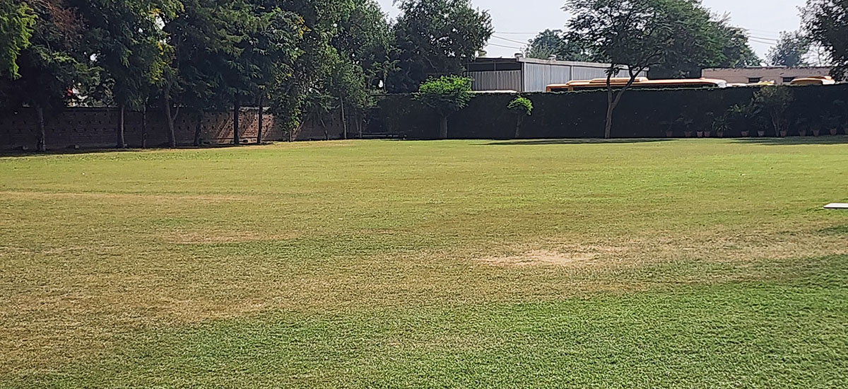 Gallery Image 15