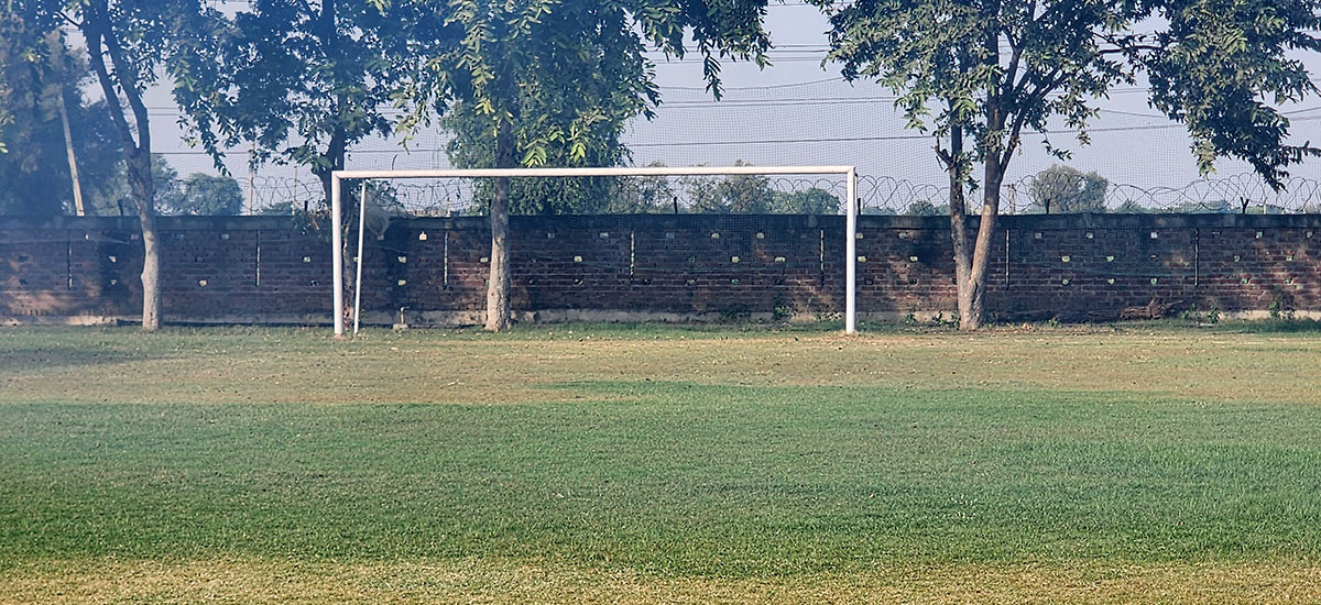Gallery Image 10